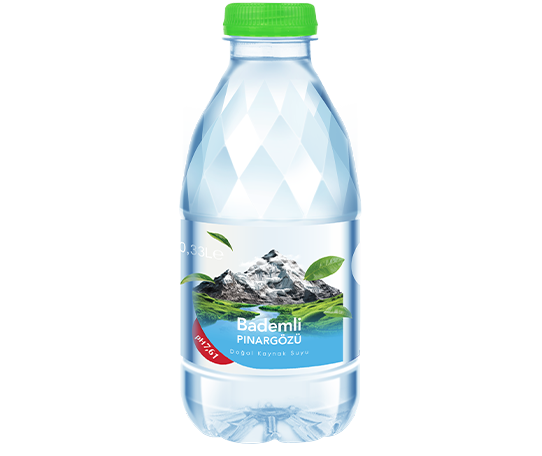 0,33 L PET Şişe